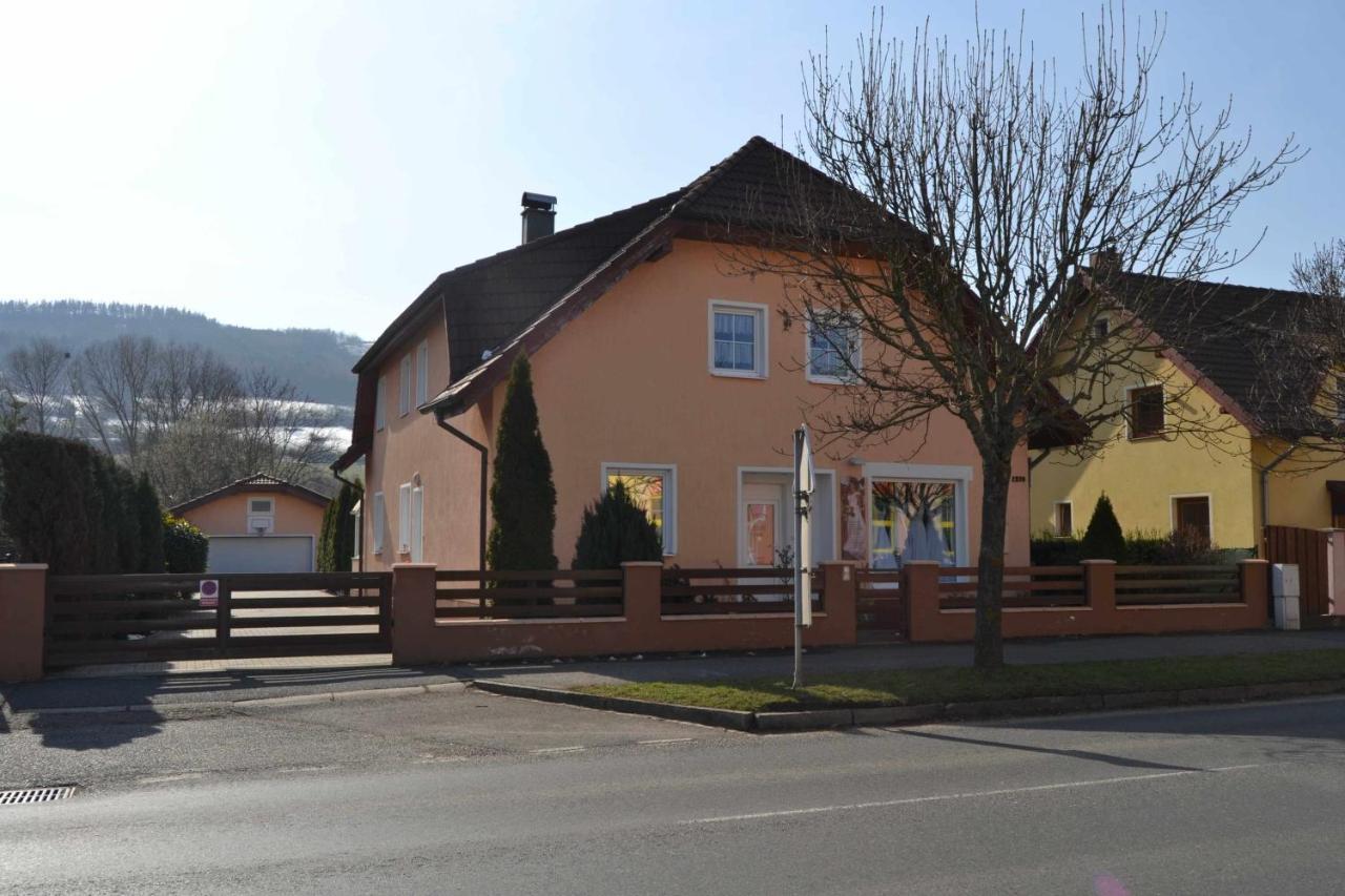 Pension U Sovy Sušice Esterno foto
